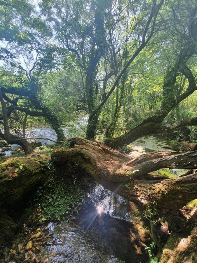 Timber Valley Plitvička Jezera Екстериор снимка